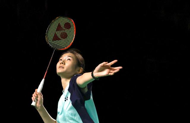 奇的桥梁 奇的桥梁