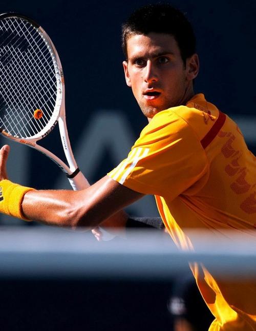 若阿米里获 若阿米里获